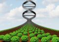 Biotech Ethics: Society’s New Debates
