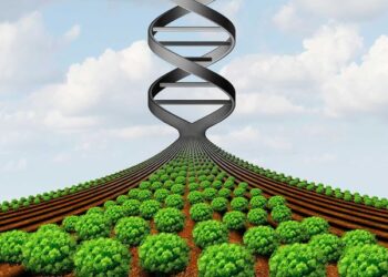 Biotech Ethics: Society’s New Debates